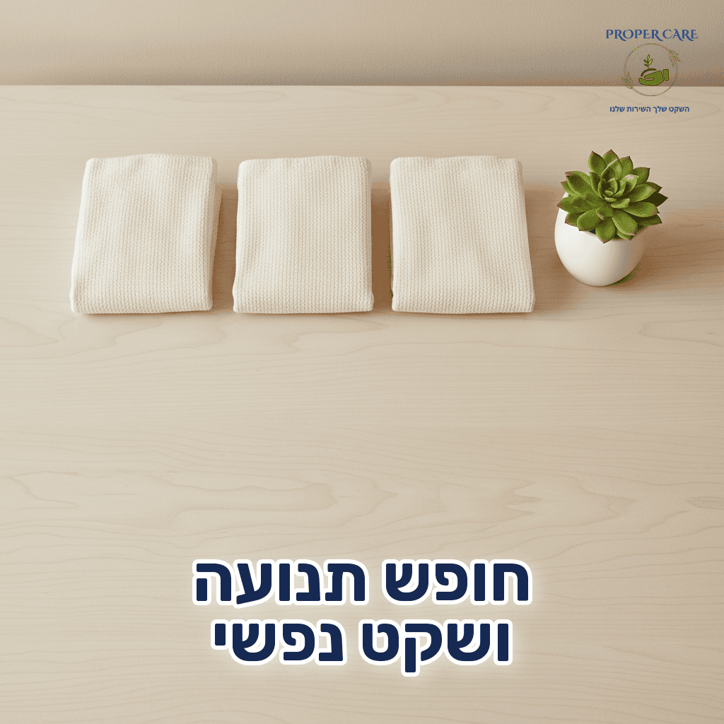 תחתונים סופגים מקופלים בצורה מסודרת על משטח עץ בהיר, לצד עציץ קטן עם צמח סוקולנט. סדר וניקיון.